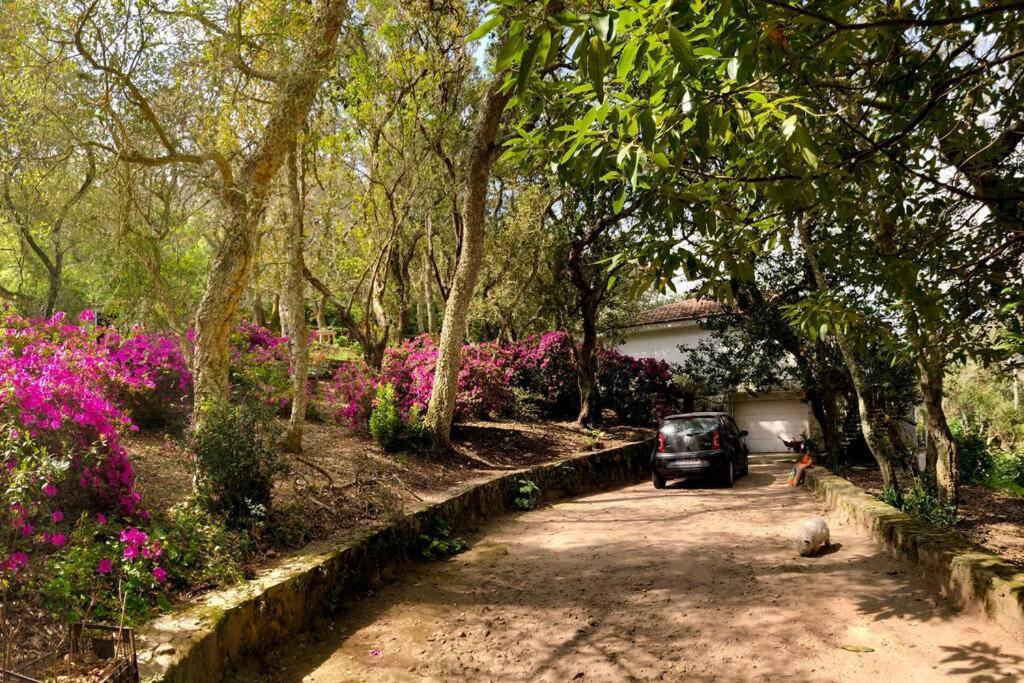 Quinta Biologica, Com Vista, Na Serra De Sintra Esterno foto