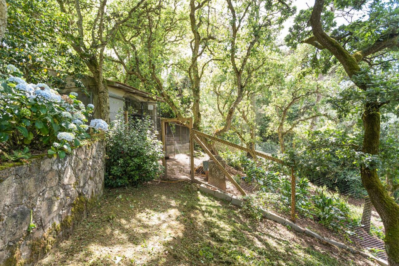 Quinta Biologica, Com Vista, Na Serra De Sintra Esterno foto