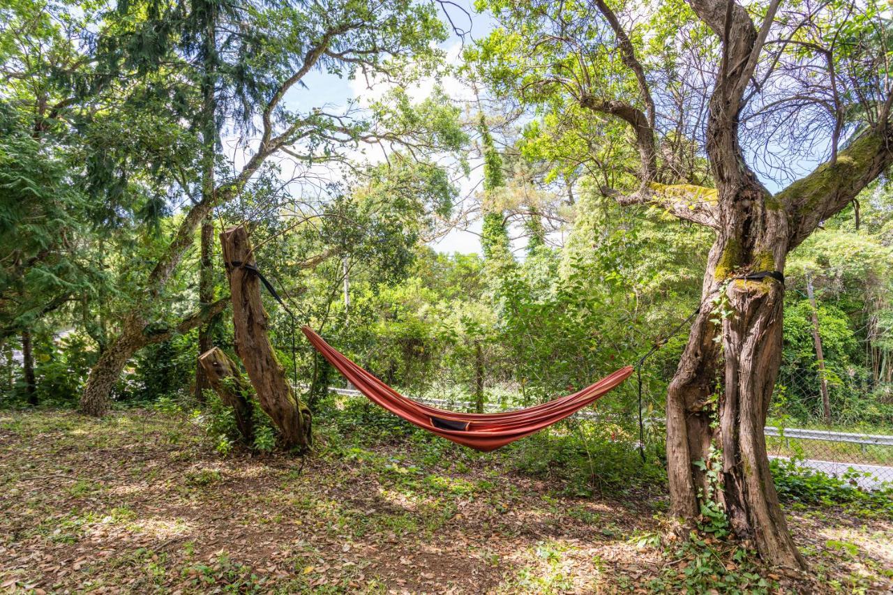 Quinta Biologica, Com Vista, Na Serra De Sintra Esterno foto