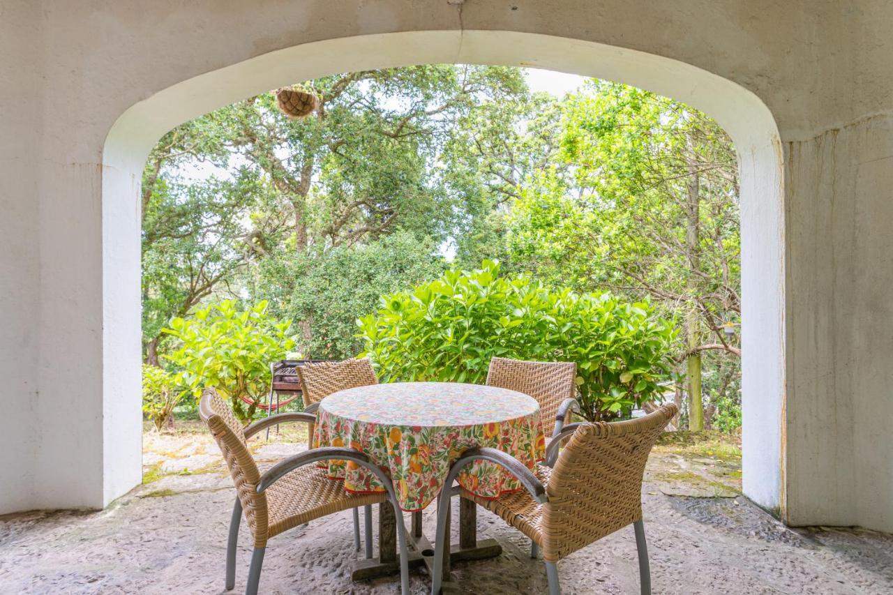 Quinta Biologica, Com Vista, Na Serra De Sintra Esterno foto