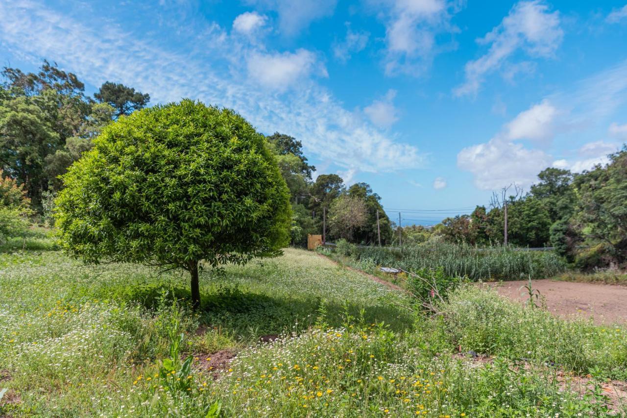 Quinta Biologica, Com Vista, Na Serra De Sintra Esterno foto
